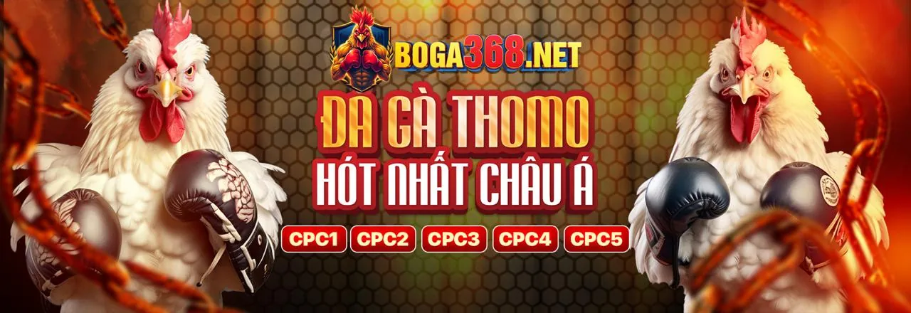 Sân vận động với khán giả và ánh sáng rực rỡ, biểu tượng cho cá cược thể thao f1688 link mới